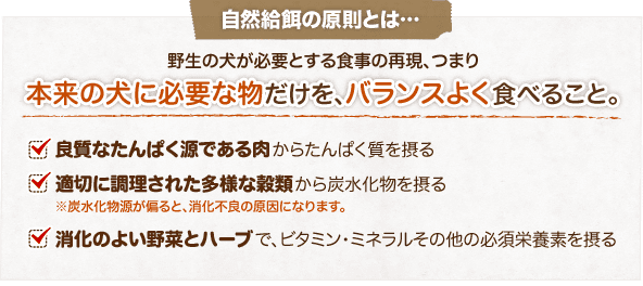 �A�����Y �i�`�������h�b�O�t�[�h